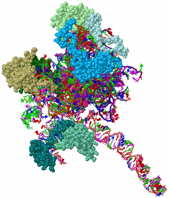 Image Asym./Biol. Unit