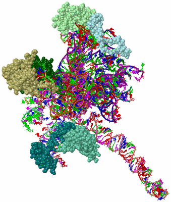 Image Asym./Biol. Unit