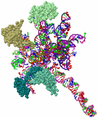 Image Asym./Biol. Unit