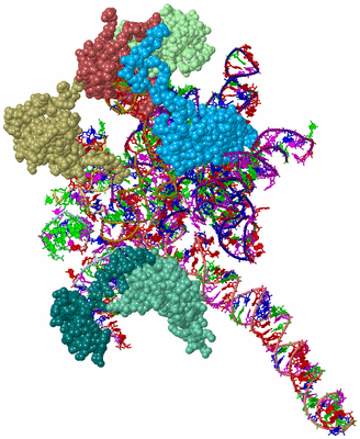 Image Asym./Biol. Unit