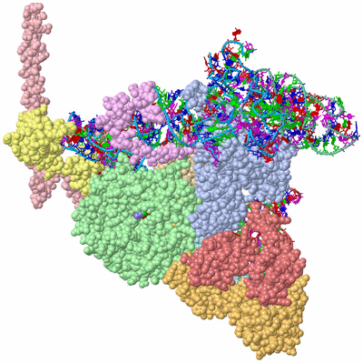 Image Asym./Biol. Unit