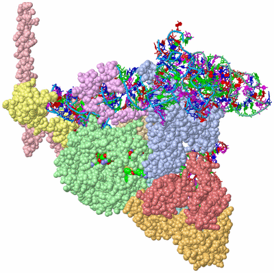 Image Asym./Biol. Unit - sites