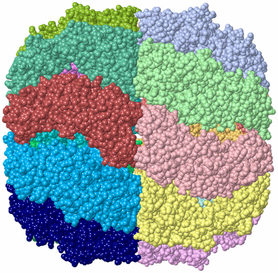 Image Asym./Biol. Unit