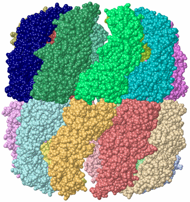 Image Asym./Biol. Unit