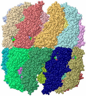 Image Asym./Biol. Unit - sites