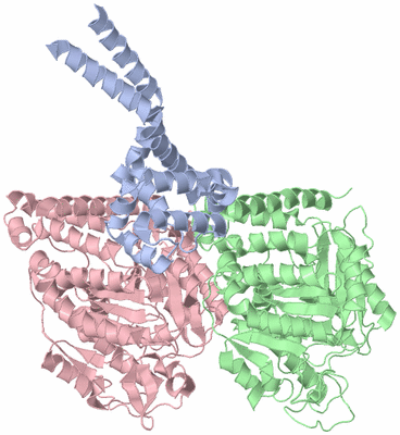 Image Asym./Biol. Unit