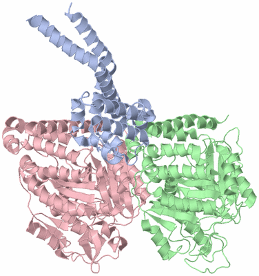 Image Asym./Biol. Unit