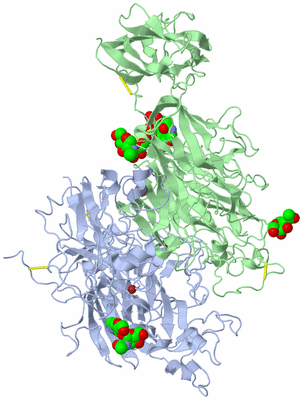 Image Asym./Biol. Unit