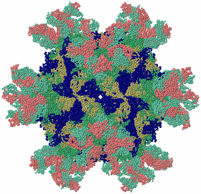 Image Biological Unit 1