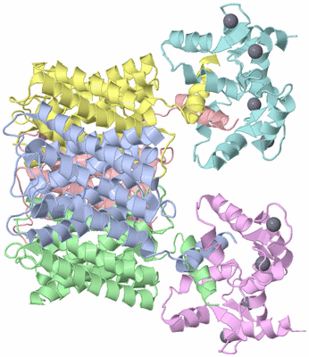 Image Asym./Biol. Unit