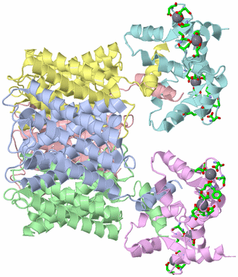 Image Asym./Biol. Unit - sites