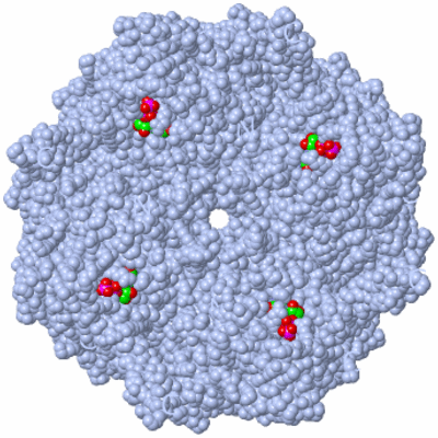 Image Biological Unit 1