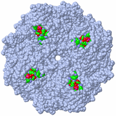 Image Biol. Unit 1 - sites