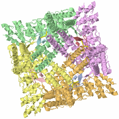 Image Asym./Biol. Unit