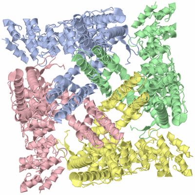 Image Asym./Biol. Unit