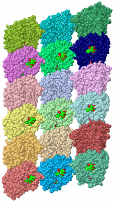 Image Asym./Biol. Unit