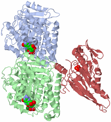 Image Asym./Biol. Unit