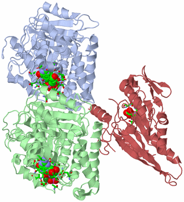 Image Asym./Biol. Unit - sites