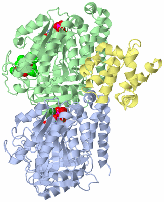 Image Asym./Biol. Unit