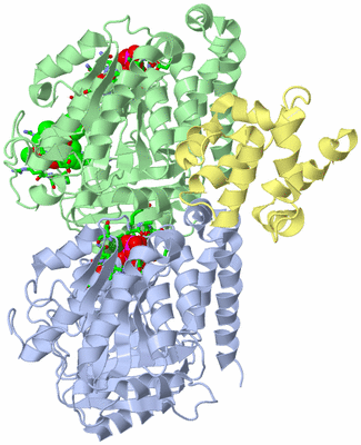 Image Asym./Biol. Unit - sites