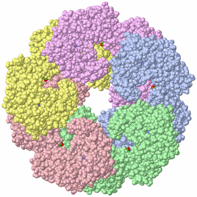 Image Asym./Biol. Unit