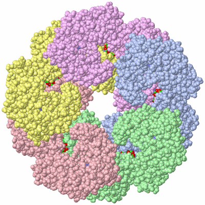 Image Asym./Biol. Unit - sites