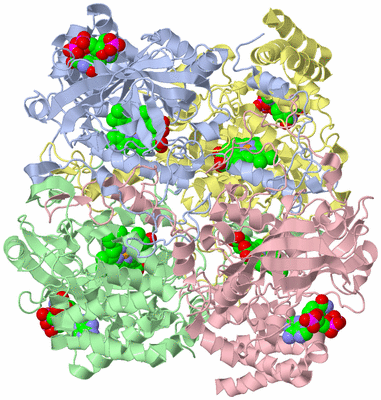 Image Asym./Biol. Unit