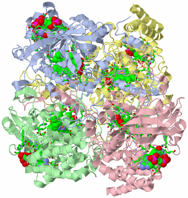 Image Asym./Biol. Unit - sites