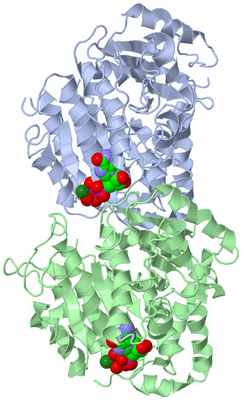 Image Asym./Biol. Unit