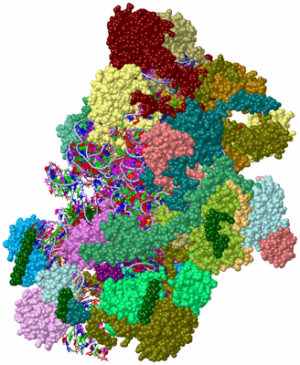 Image Asym./Biol. Unit - sites