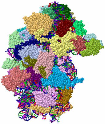 Image Asym./Biol. Unit