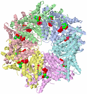 Image Asym./Biol. Unit