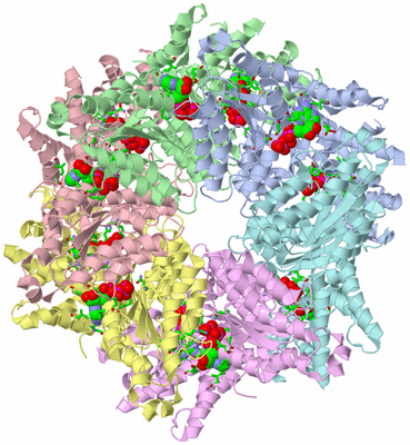 Image Asym./Biol. Unit - sites