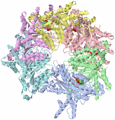 Image Asym./Biol. Unit