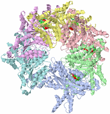 Image Asym./Biol. Unit - sites