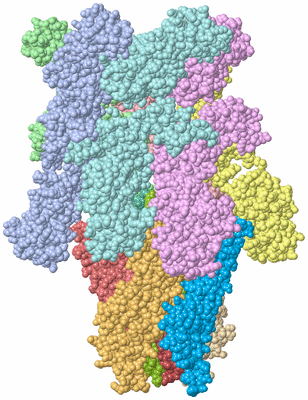 Image Asym./Biol. Unit