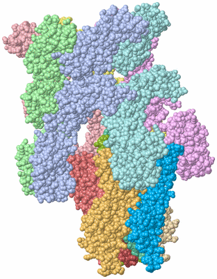 Image Asym./Biol. Unit