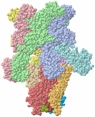 Image Asym./Biol. Unit