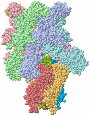 Image Asym./Biol. Unit