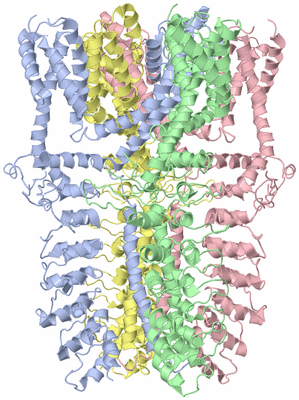 Image Asym./Biol. Unit