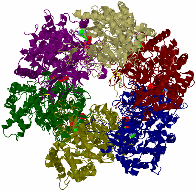 Image Asym./Biol. Unit