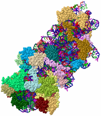 Image Asym./Biol. Unit