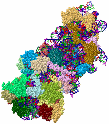 Image Asym./Biol. Unit - sites