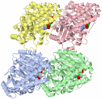 Image Asym./Biol. Unit