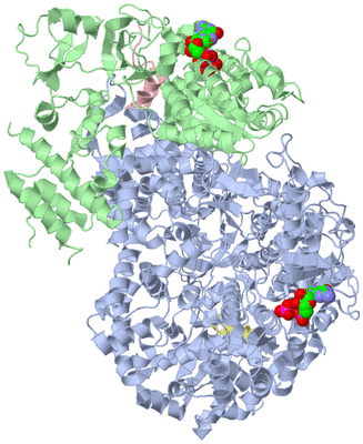 Image Asym./Biol. Unit