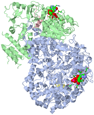 Image Asym./Biol. Unit - sites