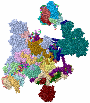 Image Asym./Biol. Unit