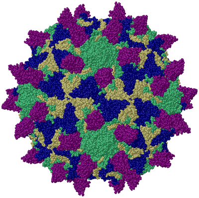 Image Biol. Unit 1 - sites