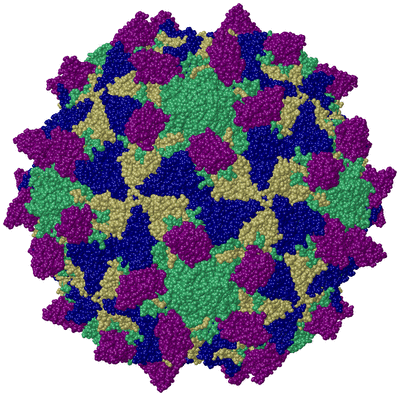 Image Biol. Unit 1 - sites