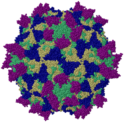 Image Biol. Unit 1 - sites